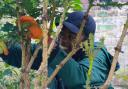 Volunteers from Leaves Breathe helped out at St Mark's Church