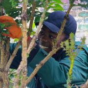 Volunteers from Leaves Breathe helped out at St Mark's Church