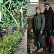 Gideon Corby and Esther Adelman have accused L&Q Group of 'destroying' Kingsland Basin nature reserve