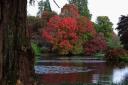 Visitors wowed by the splendour of autumn at Sussex National Trust site