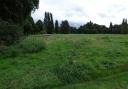 The Waterworks Nature Reserve. Picture: Lea Valley Regional Park Authority