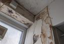 Mould and damp in bathroom of council flat Kenninghall Road, Hackney, pic Julia Gregory, free for use by partners of BBC news wire service