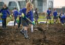 Planting a tree for her generation's future