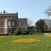 Flowers in bloom as Springtime comes to brighten up the gardens at Valentines Mansion. Photo: Dharam Shadev