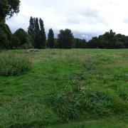 The Waterworks Nature Reserve. Picture: Lea Valley Regional Park Authority