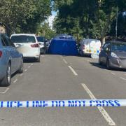 Forensic tents near Rushmore Road