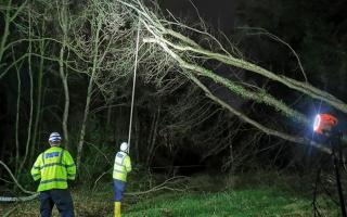 A fallen tree cut off power to hundreds of homes in Brandon - caused by Storm Dudley.