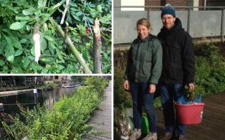 Gideon Corby and Esther Adelman have accused L&Q Group of 'destroying' Kingsland Basin nature reserve